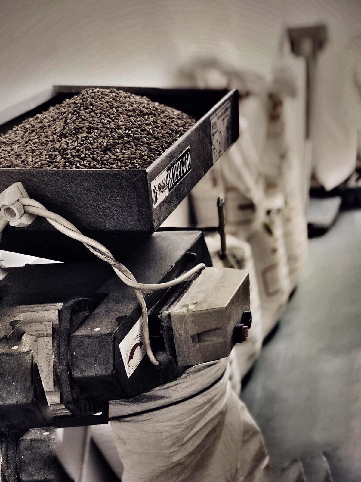 Bota Lehel în contextul de început al poveștii Klausen